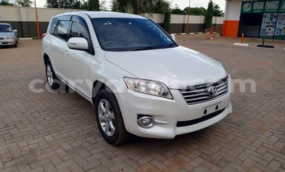 Tenga Tsaru Vauxhall Adam Bhurawuni Mota in Lusaka in Zambia