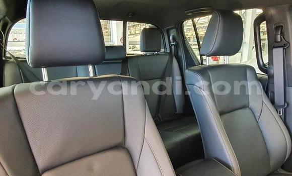 Acheter Occasion Voiture Toyota Hilux Gris à Mazabuka, Du sud Acheter Occasion Voiture Toyota Hilux Gris à Mazabuka, Du sud