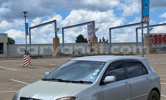 Acheter Occasion Voiture Toyota Runx Autre à Lusaka, Zambie Acheter Occasion Voiture Toyota Runx Autre à Lusaka, Zambie