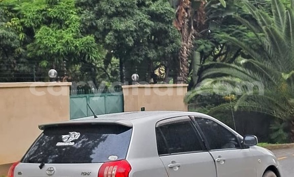 Acheter Occasion Voiture Toyota Runx Autre à Lusaka, Zambie Acheter Occasion Voiture Toyota Runx Autre à Lusaka, Zambie