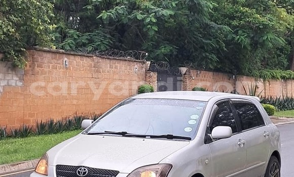 Acheter Occasion Voiture Toyota Runx Autre à Lusaka, Zambie Acheter Occasion Voiture Toyota Runx Autre à Lusaka, Zambie
