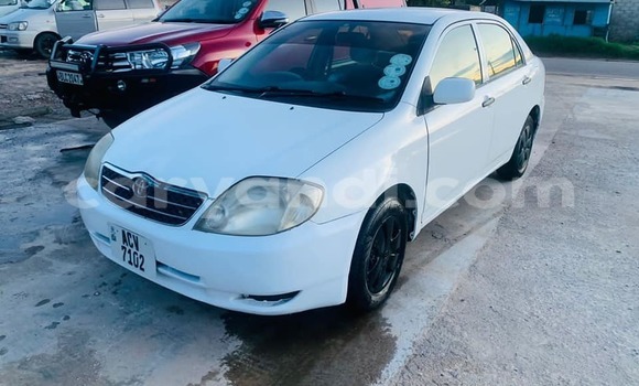 Acheter Occasion Voiture Toyota Corolla Blanc à Lusaka, Zambie Acheter Occasion Voiture Toyota Corolla Blanc à Lusaka, Zambie