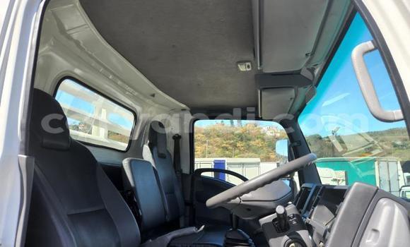 Tenga Tsaru Isuzu FTR 850 Chena Rori in Chilanga in Lusaka Tenga Tsaru Isuzu FTR 850 Chena Rori in Chilanga in Lusaka