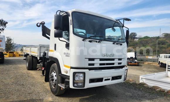 Tenga Tsaru Isuzu FTR 850 Chena Rori in Chilanga in Lusaka Tenga Tsaru Isuzu FTR 850 Chena Rori in Chilanga in Lusaka