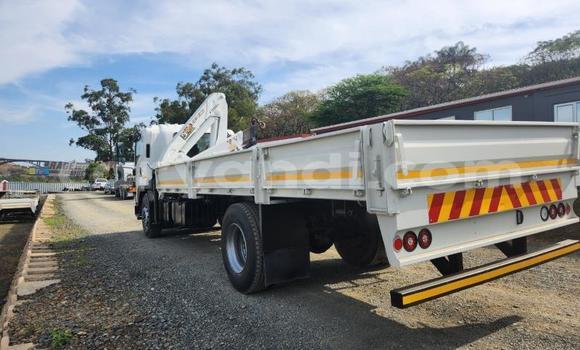 Tenga Tsaru Isuzu FTR 850 Chena Rori in Chilanga in Lusaka Tenga Tsaru Isuzu FTR 850 Chena Rori in Chilanga in Lusaka