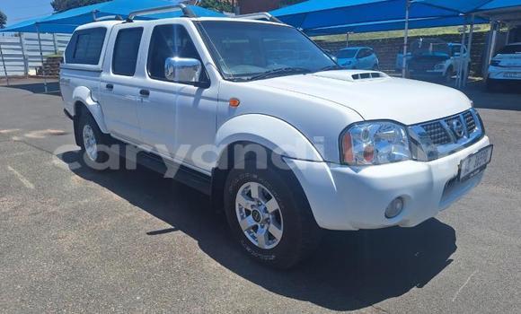 Tenga Tsaru Nissan NP 300 Chena Mota in Kabwe in Zambia Tenga Tsaru Nissan NP 300 Chena Mota in Kabwe in Zambia