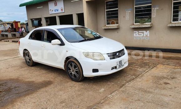 Tenga Tsaru Toyota Axio Chena Mota in Lusaka in Zambia
