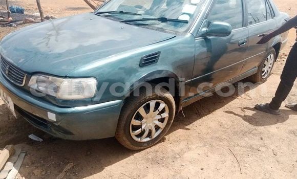 Buy Used Toyota Corolla Other Car in Lusaka in Zambia