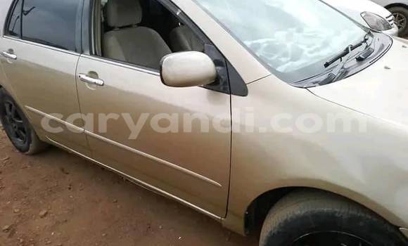 Buy Used Toyota Allex Other Car in Lusaka in Zambia