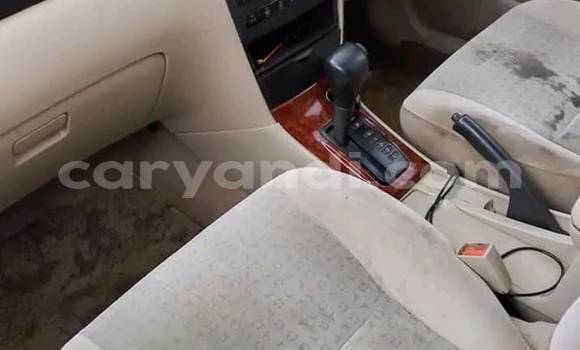 Acheter Occasion Voiture Toyota Allex Autre à Lusaka, Zambie Acheter Occasion Voiture Toyota Allex Autre à Lusaka, Zambie