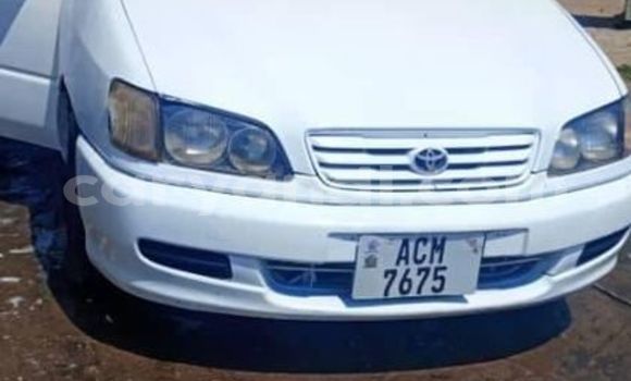 Acheter Occasion Voiture Toyota Ipsum Blanc à Chingola, Zambie