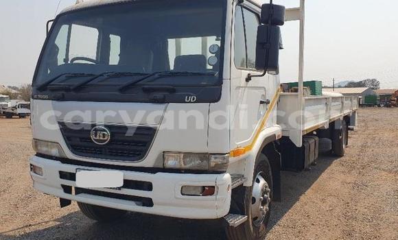 Tenga Tsaru Nissan UD Chena Rori in Lusaka in Zambia Tenga Tsaru Nissan UD Chena Rori in Lusaka in Zambia