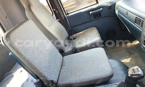 Tenga Tsaru Nissan UD Chena Rori in Lusaka in Zambia Tenga Tsaru Nissan UD Chena Rori in Lusaka in Zambia