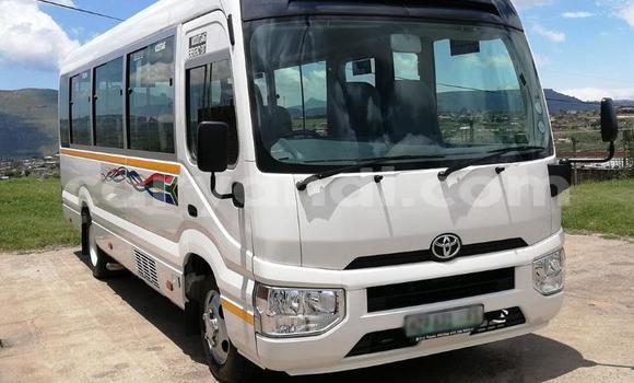 Buy Used Toyota Coaster White Car in Ndola in Zambia Buy Used Toyota Coaster White Car in Ndola in Zambia