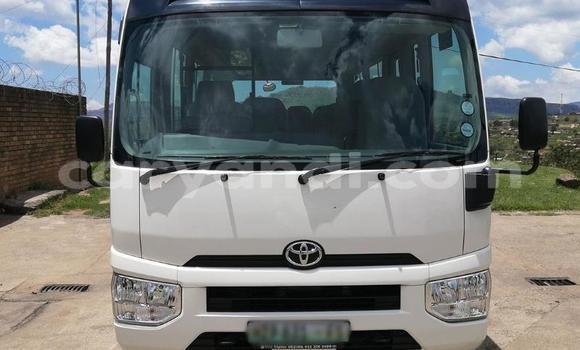 Tenga Tsaru Toyota Coaster Chena Mota in Ndola in Zambia Tenga Tsaru Toyota Coaster Chena Mota in Ndola in Zambia