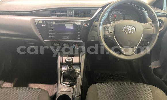 Tenga Tsaru Toyota Corolla Sirivha Mota in Lusaka in Zambia Tenga Tsaru Toyota Corolla Sirivha Mota in Lusaka in Zambia