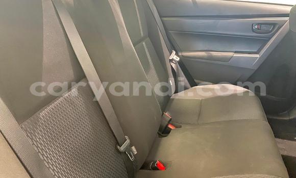 Tenga Tsaru Toyota Corolla Sirivha Mota in Lusaka in Zambia Tenga Tsaru Toyota Corolla Sirivha Mota in Lusaka in Zambia