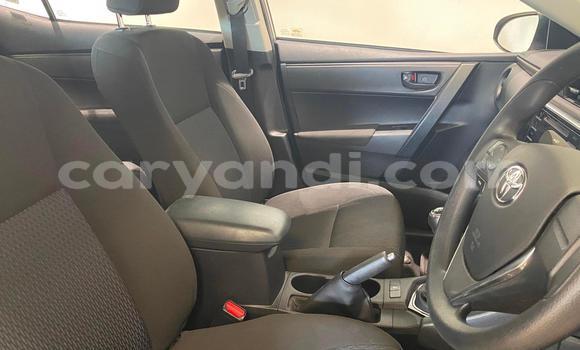 Tenga Tsaru Toyota Corolla Sirivha Mota in Lusaka in Zambia Tenga Tsaru Toyota Corolla Sirivha Mota in Lusaka in Zambia