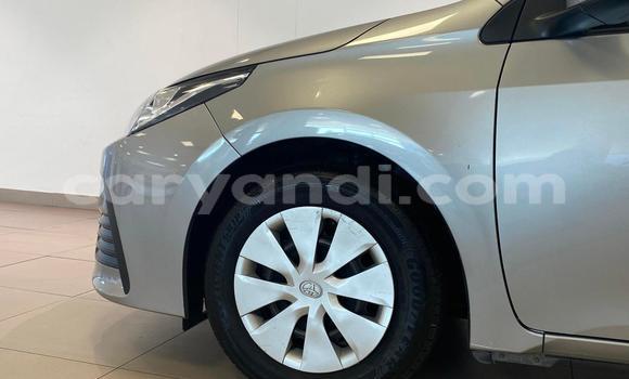 Tenga Tsaru Toyota Corolla Sirivha Mota in Lusaka in Zambia Tenga Tsaru Toyota Corolla Sirivha Mota in Lusaka in Zambia