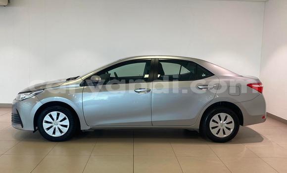 Tenga Tsaru Toyota Corolla Sirivha Mota in Lusaka in Zambia Tenga Tsaru Toyota Corolla Sirivha Mota in Lusaka in Zambia