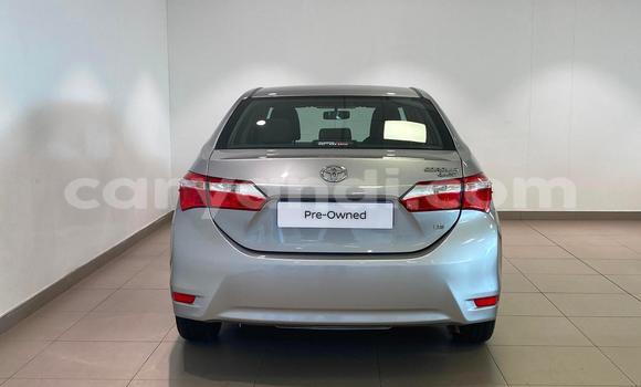 Tenga Tsaru Toyota Corolla Sirivha Mota in Lusaka in Zambia Tenga Tsaru Toyota Corolla Sirivha Mota in Lusaka in Zambia