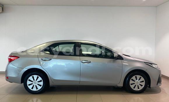 Tenga Tsaru Toyota Corolla Sirivha Mota in Lusaka in Zambia Tenga Tsaru Toyota Corolla Sirivha Mota in Lusaka in Zambia