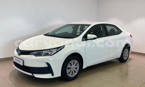 Buy Used Toyota Corolla White Car in Lusaka in Zambia