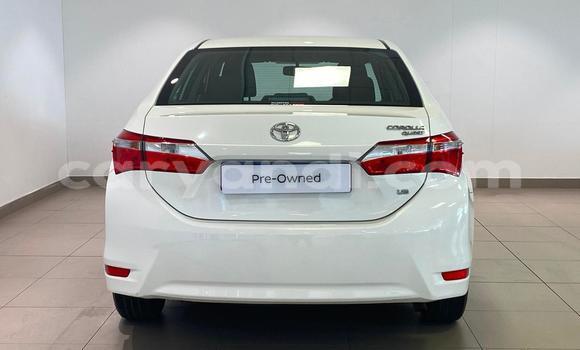 Buy Used Toyota Corolla White Car in Lusaka in Zambia Buy Used Toyota Corolla White Car in Lusaka in Zambia