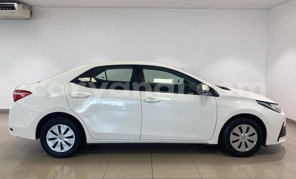 Buy Used Toyota Corolla White Car in Lusaka in Zambia Buy Used Toyota Corolla White Car in Lusaka in Zambia