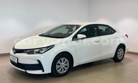 Buy Used Toyota Corolla White Car in Lusaka in Zambia