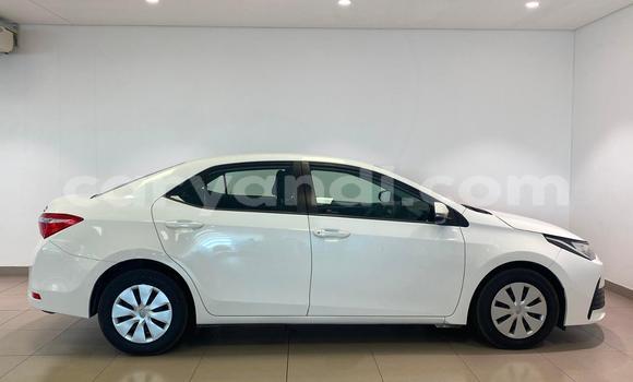 Buy Used Toyota Corolla White Car in Lusaka in Zambia Buy Used Toyota Corolla White Car in Lusaka in Zambia