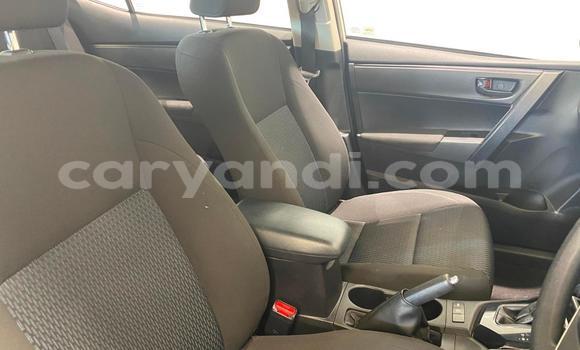 Buy Used Toyota Corolla White Car in Lusaka in Zambia Buy Used Toyota Corolla White Car in Lusaka in Zambia