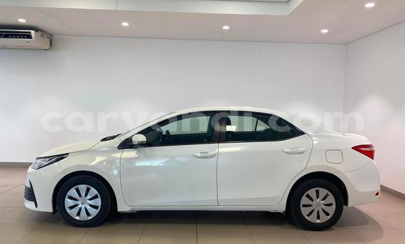 Buy Used Toyota Corolla White Car in Lusaka in Zambia Buy Used Toyota Corolla White Car in Lusaka in Zambia