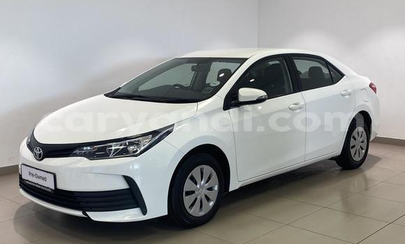 Buy Used Toyota Corolla White Car in Lusaka in Zambia