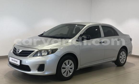 Buy Used Toyota Corolla Silver Car in Lusaka in Zambia