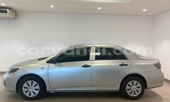 Buy Used Toyota Corolla Silver Car in Lusaka in Zambia Buy Used Toyota Corolla Silver Car in Lusaka in Zambia