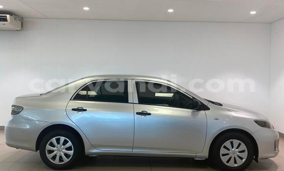 Buy Used Toyota Corolla Silver Car in Lusaka in Zambia Buy Used Toyota Corolla Silver Car in Lusaka in Zambia