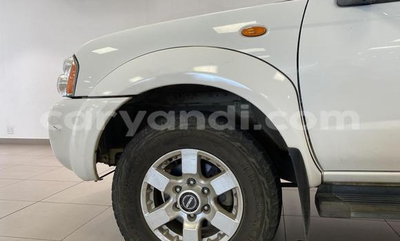 Buy Used Nissan NP 300 White Car in Lusaka in Zambia Buy Used Nissan NP 300 White Car in Lusaka in Zambia