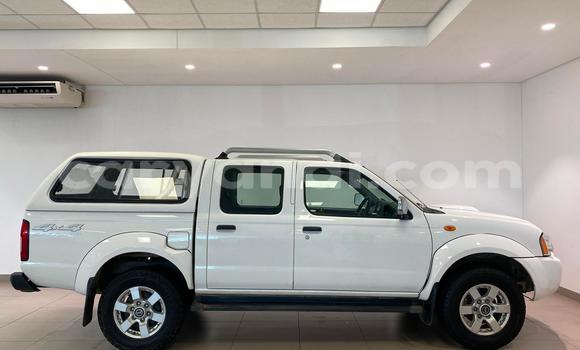 Buy Used Nissan NP 300 White Car in Lusaka in Zambia Buy Used Nissan NP 300 White Car in Lusaka in Zambia