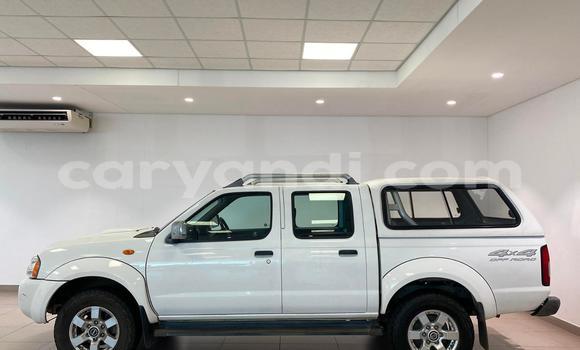 Buy Used Nissan NP 300 White Car in Lusaka in Zambia Buy Used Nissan NP 300 White Car in Lusaka in Zambia