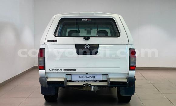 Buy Used Nissan NP 300 White Car in Lusaka in Zambia Buy Used Nissan NP 300 White Car in Lusaka in Zambia