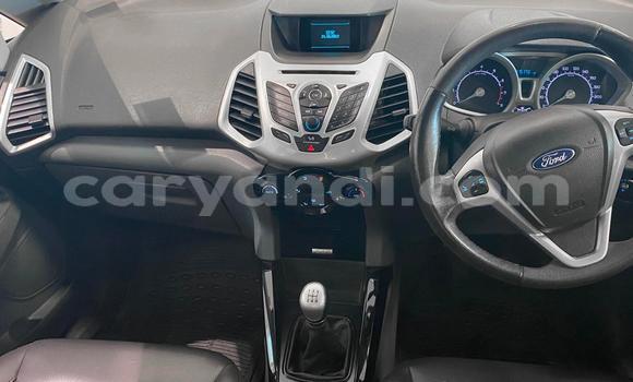 Buy Used Ford EcoSport Silver Car in Lusaka in Zambia Buy Used Ford EcoSport Silver Car in Lusaka in Zambia