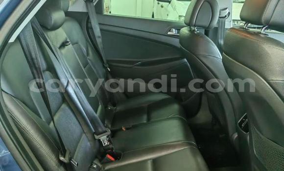 Tenga Tsaru Hyundai Tucson Bhuruu Mota in Lusaka in Zambia Tenga Tsaru Hyundai Tucson Bhuruu Mota in Lusaka in Zambia