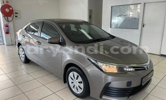 Buy Used Toyota Corolla Silver Car in Lusaka in Zambia Buy Used Toyota Corolla Silver Car in Lusaka in Zambia