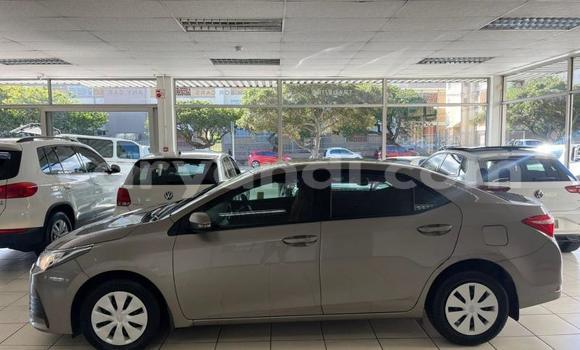 Tenga Tsaru Toyota Corolla Sirivha Mota in Lusaka in Zambia Tenga Tsaru Toyota Corolla Sirivha Mota in Lusaka in Zambia