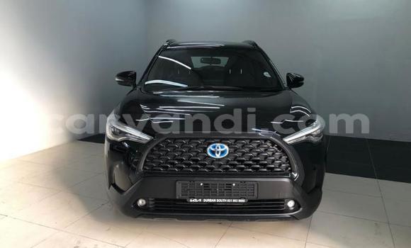 Buy Used Toyota Corolla Cross Black Car in Lusaka in Zambia Buy Used Toyota Corolla Cross Black Car in Lusaka in Zambia
