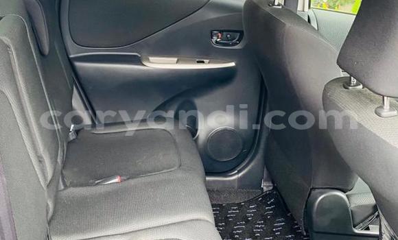 Tenga Imported Toyota Ractis Sirivha Mota in Ndola in Zambia Tenga Imported Toyota Ractis Sirivha Mota in Ndola in Zambia