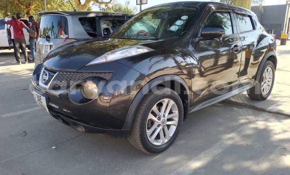 Buy Used Nissan Juke Other Car in Lusaka in Zambia Buy Used Nissan Juke Other Car in Lusaka in Zambia
