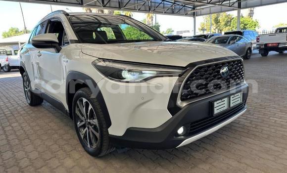 Buy Used Toyota Corolla Cross White Car in Lusaka in Zambia Buy Used Toyota Corolla Cross White Car in Lusaka in Zambia
