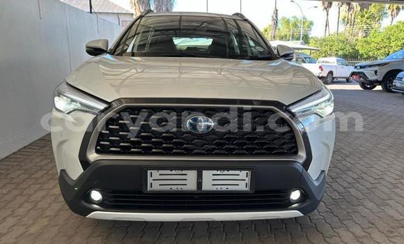 Buy Used Toyota Corolla Cross White Car in Lusaka in Zambia Buy Used Toyota Corolla Cross White Car in Lusaka in Zambia